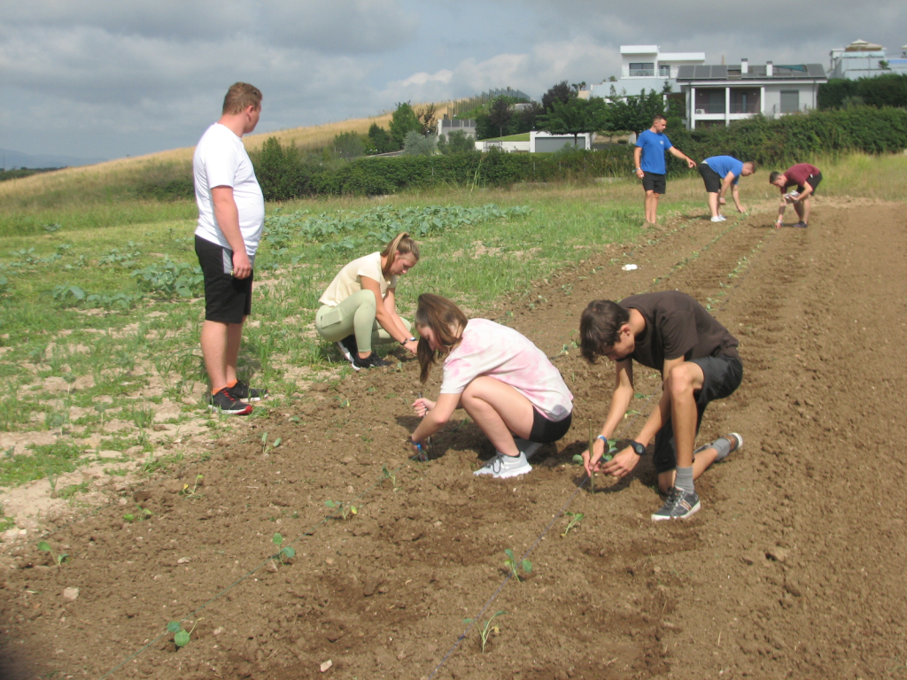 Erasmus  Görögország 2023 Szeptember