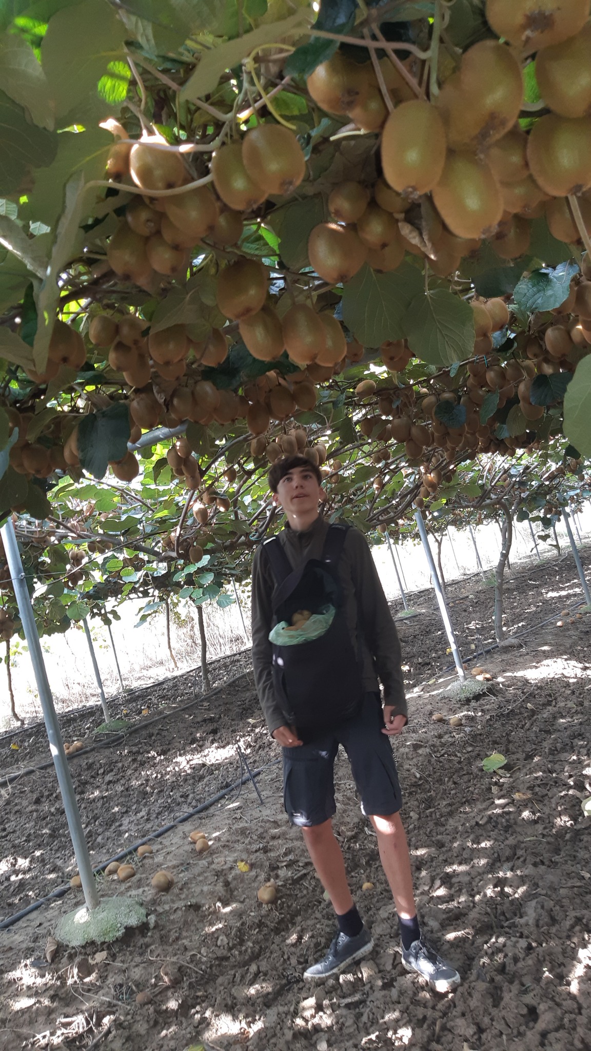 Görögisták 2023.09.29.